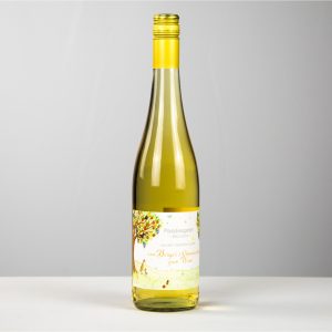Trauben - Seccolino  9,5 % vol - 0,75 l